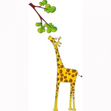 La signora Giraffa
