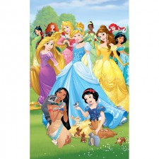 Principesse Disney - poster murale 6 pannelli